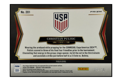 Christian Pulisic /10 – Fußball Sammelkarte