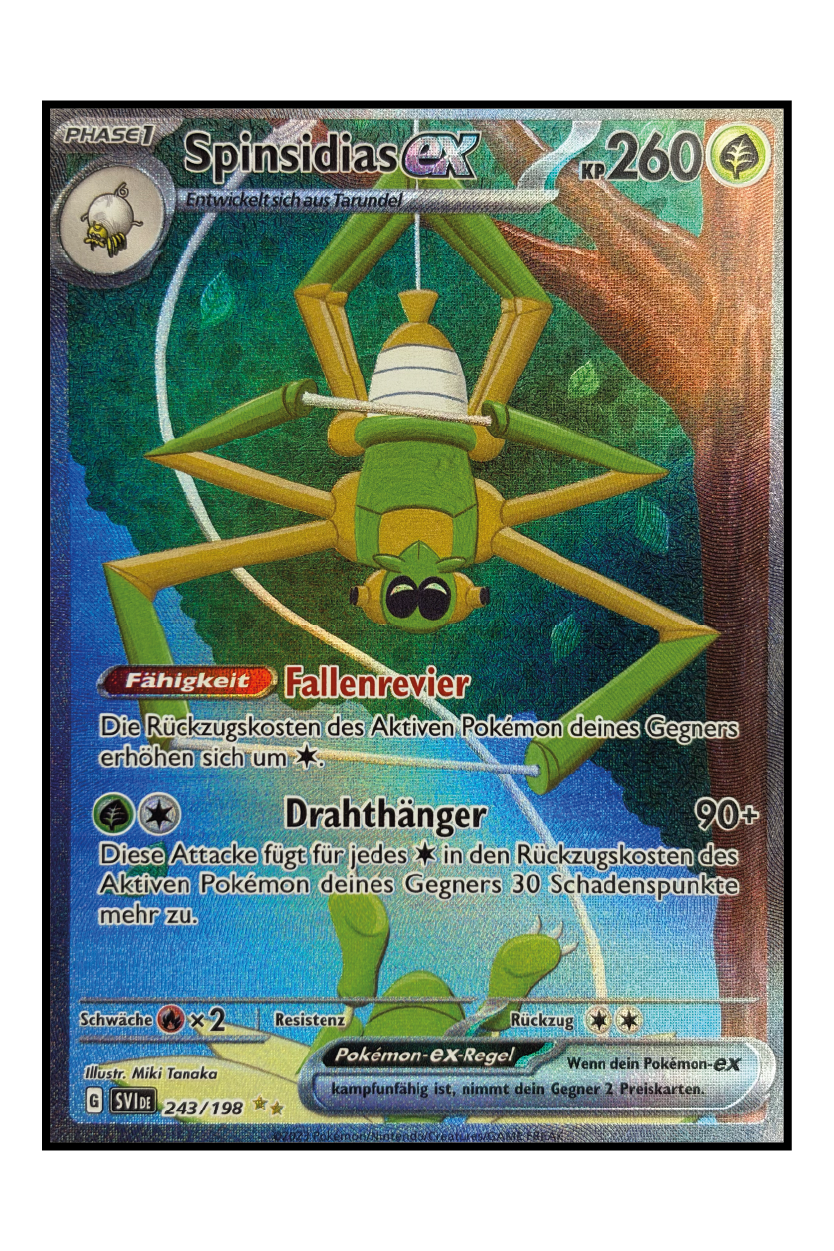 Spinsidias ex (SVI 243)