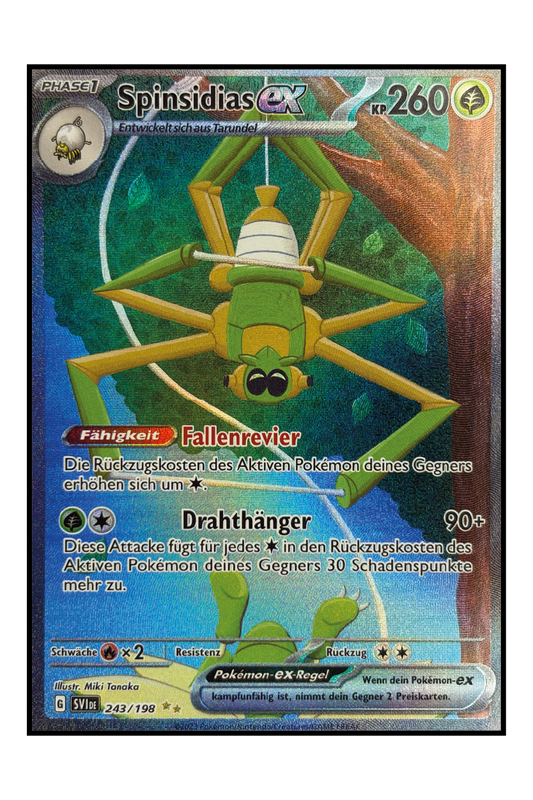Spinsidias ex (SVI 243)